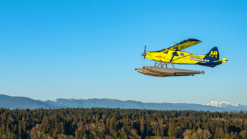 A Harbour Air eplane flying over trees